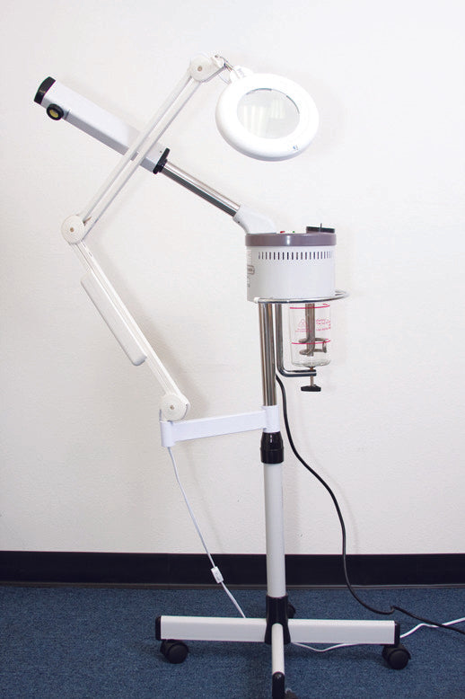 Taiwan steamer with daylight magnifying lamp combination